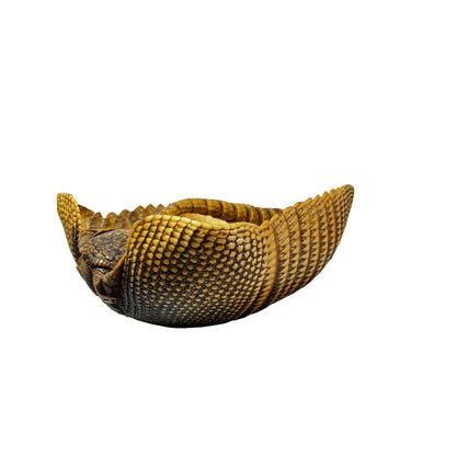 1940s Taxidermy Armadillo Shell Folk Art Basket Purse Handbag RARE Unlined - Yesterdays Collective