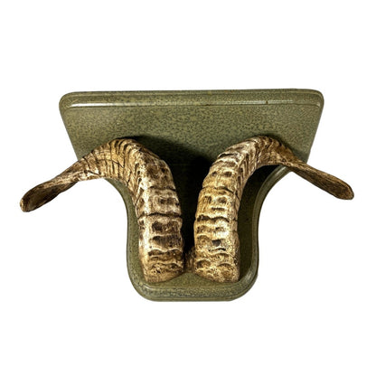 Vintage 1970s Ram Horn Taxidermy Shelf - OOAK - Yesterdays Collective